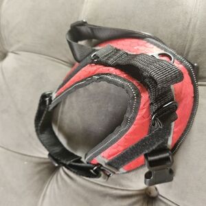 Red and Black Adjustable Dog Harness